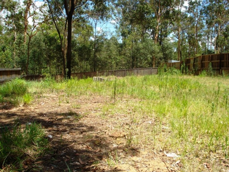 81 Gibbston Place, Doolandella QLD 4077