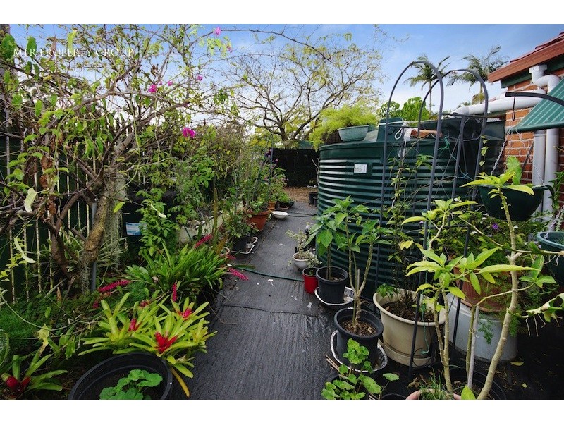 8 Evergreen Place, Forest Lake QLD 4078