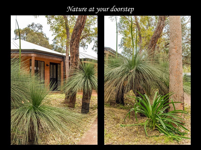 18 Fernwood Rd, Dawesville WA 6211