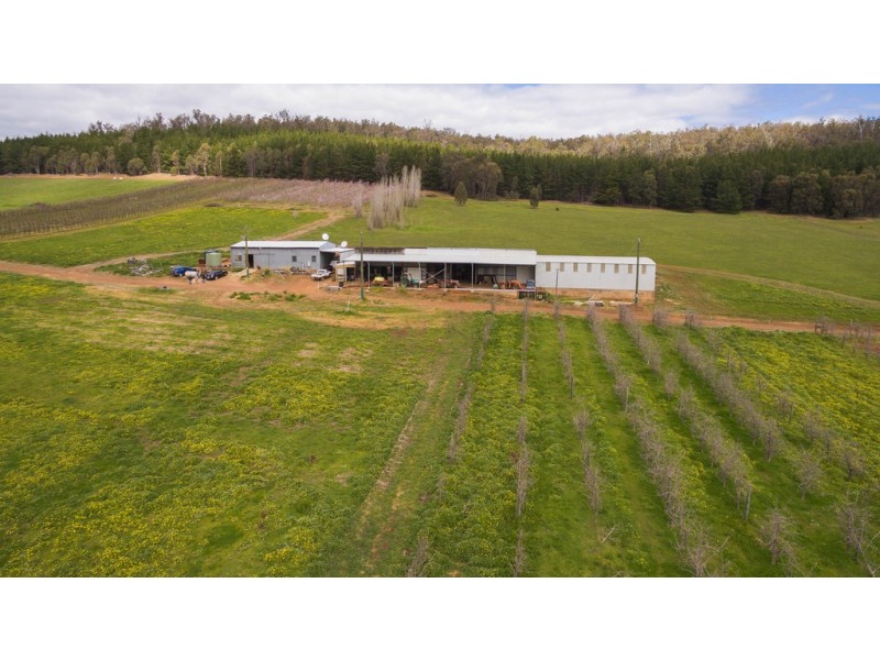 LOT 3 Pinjarra-Williams Rd, Dwellingup WA 6213