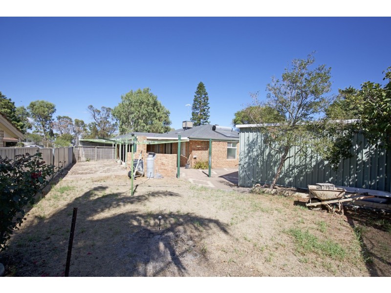 1 Fuchsia Place, Halls Head WA 6210