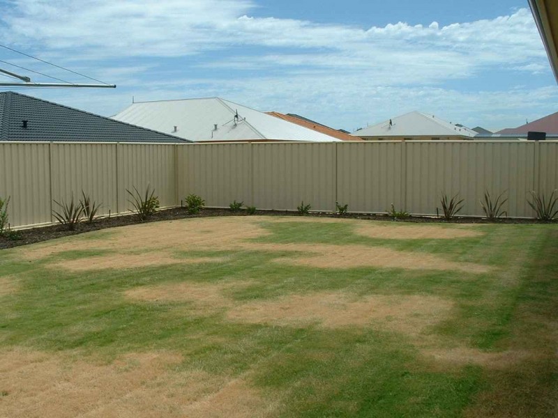 55 Nottely Crescent, Secret Harbour WA 6173