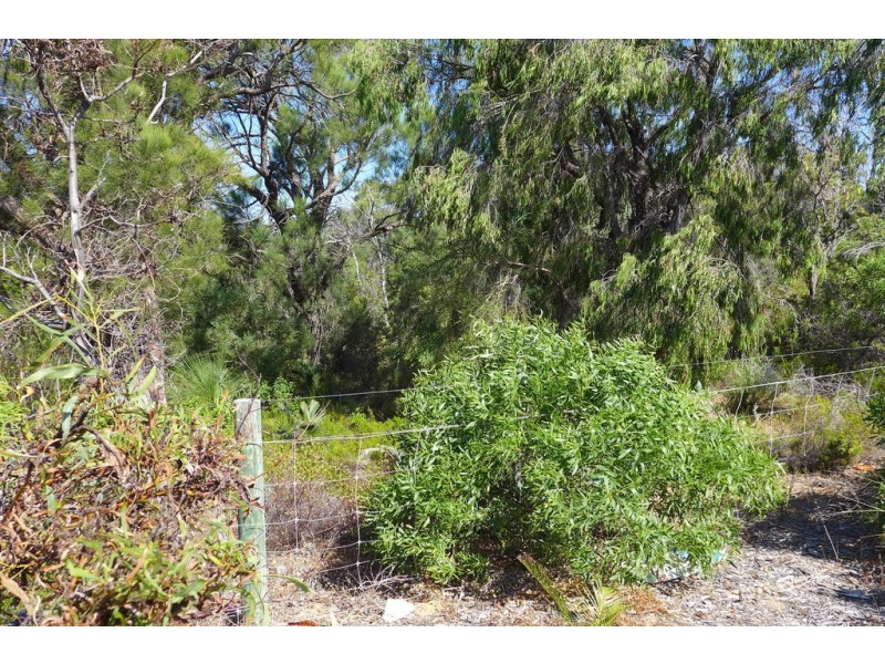 17 Dardanup Parkway, Dawesville WA 6211