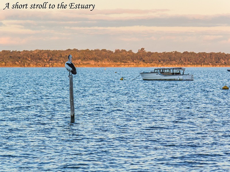 17 Dardanup Parkway, Dawesville WA 6211