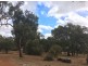 98 Tuart Grove, Lake Clifton WA 6215