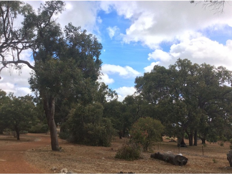 98 Tuart Grove, Lake Clifton WA 6215