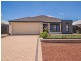 43 Ludlow Loop, Pinjarra WA 6208