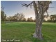 43 Ludlow Loop, Pinjarra WA 6208