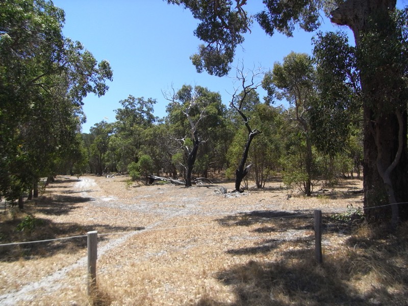 20 Tuart Grove Ave, Lake Clifton WA 6215