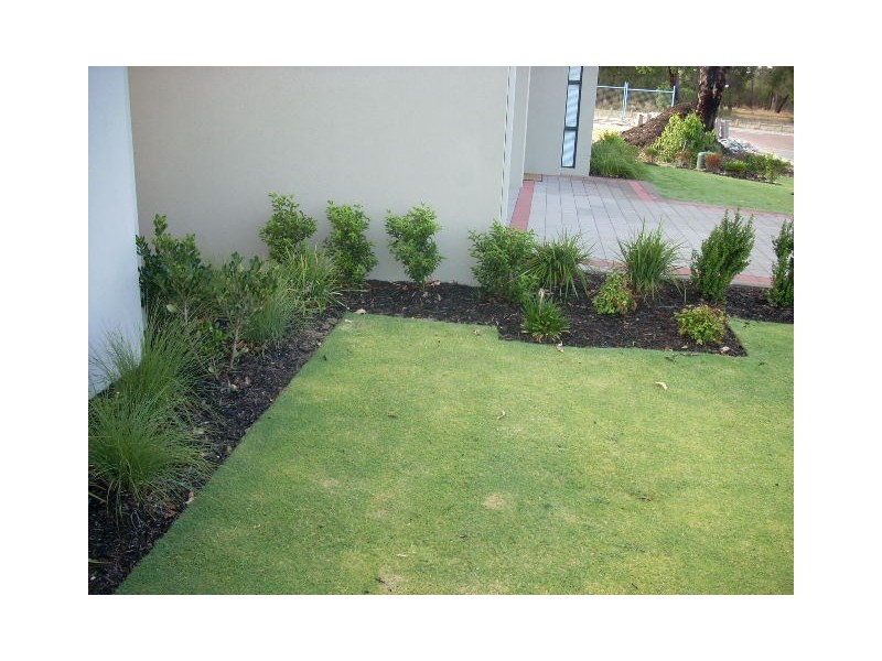 6 Butcherbird Loop, Erskine WA 6210