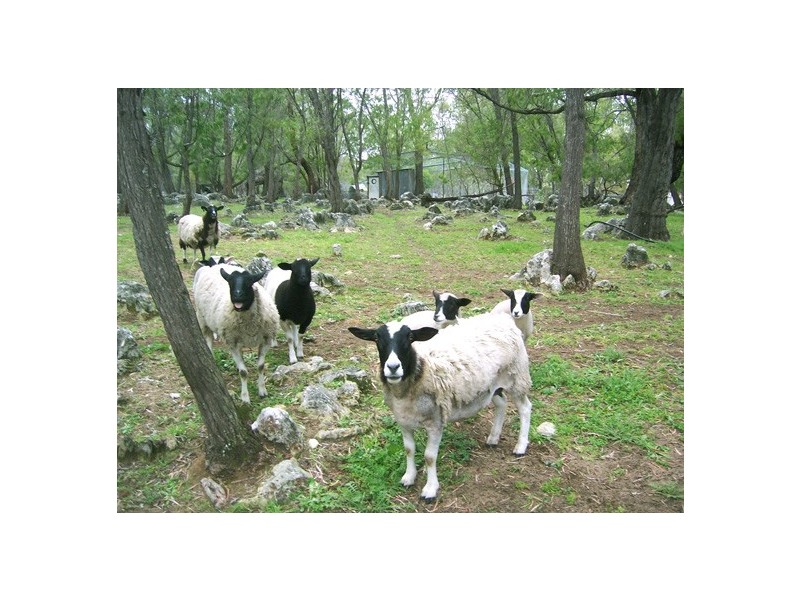 19 TEAKWOOD DRIVE, Lake Clifton WA 6215