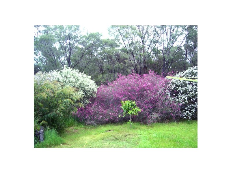 19 TEAKWOOD DRIVE, Lake Clifton WA 6215