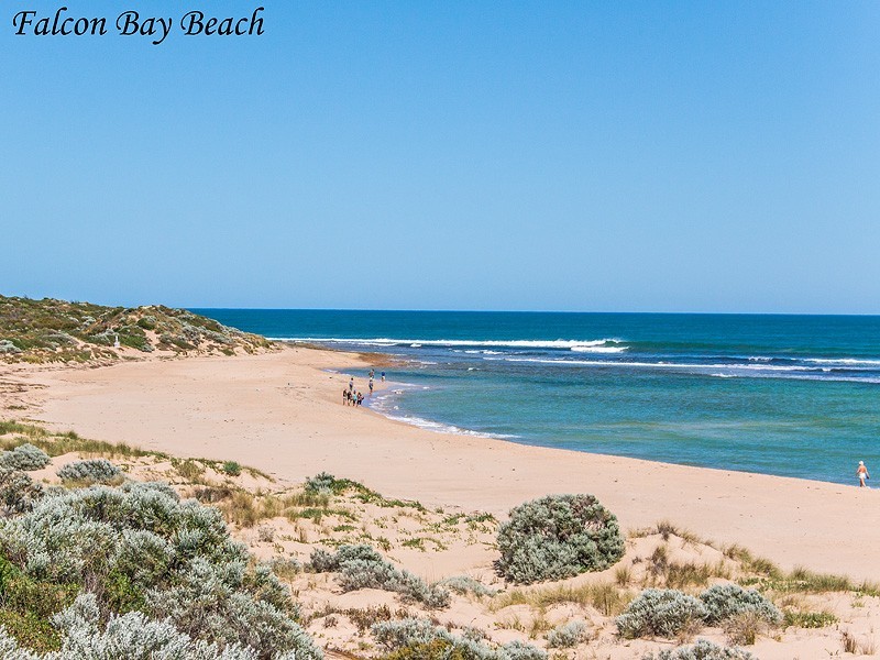 12 Enterprise Ave, Falcon WA 6210