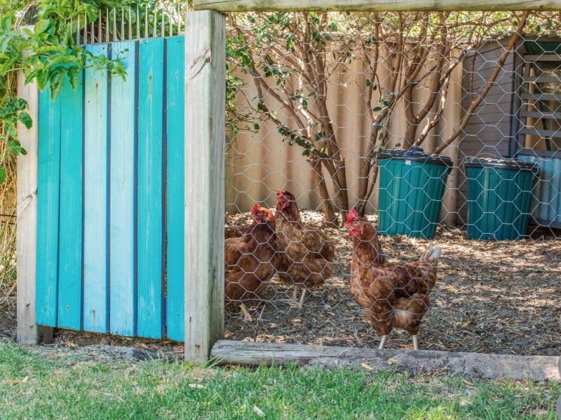 15 Oleander Place, Halls Head WA 6210