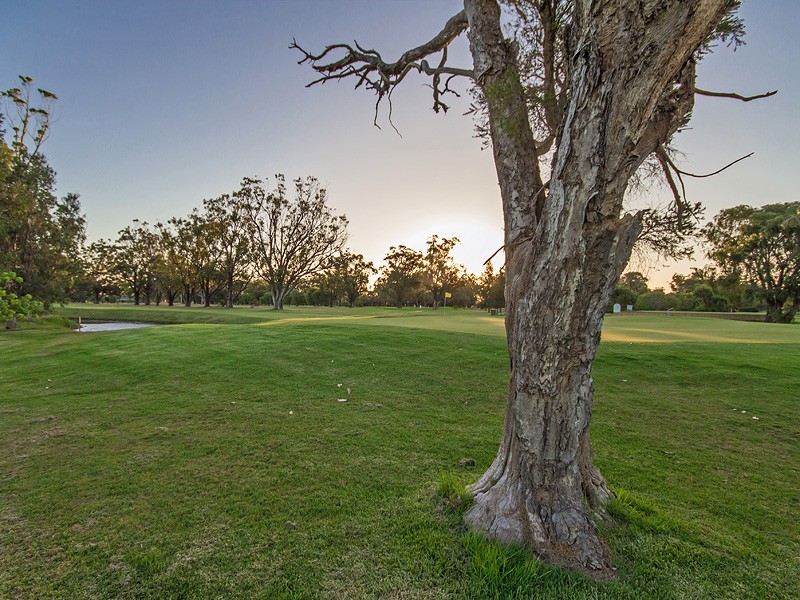 25 COUNTRY ROAD, Pinjarra WA 6208