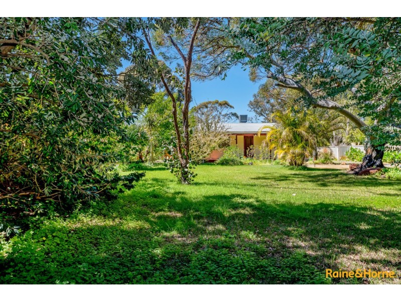 58 CONGDON AVENUE, Pinjarra WA 6208