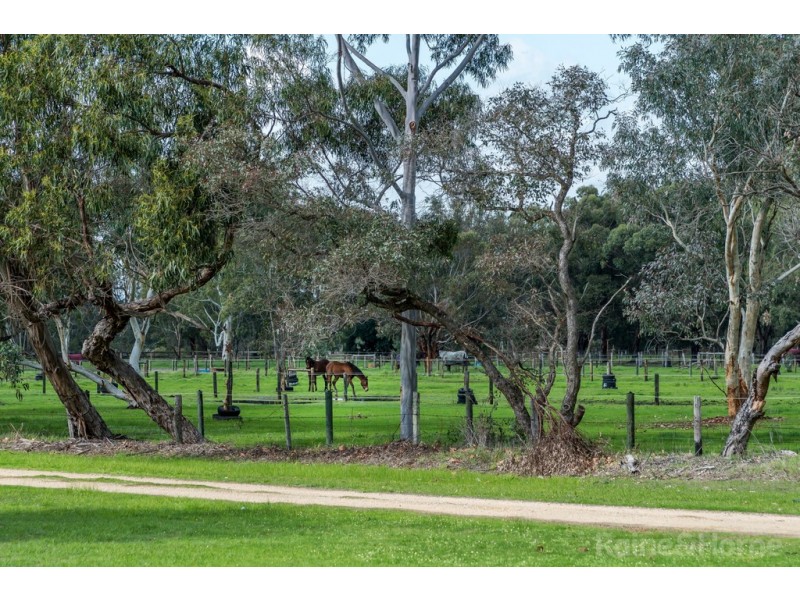 60 SUNSET CIRCLE, Pinjarra WA 6208