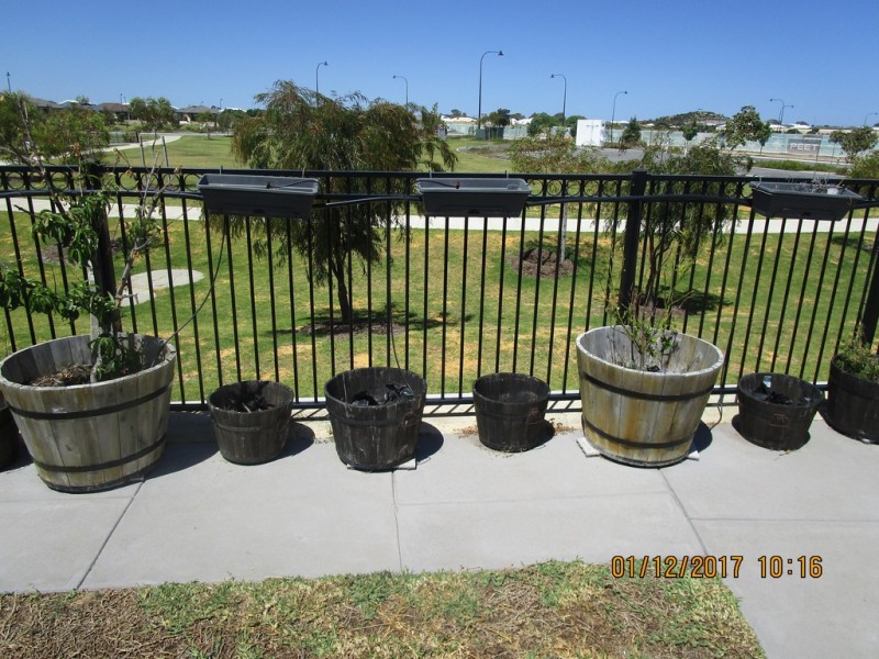 27 Benalla Way, Lakelands WA 6180