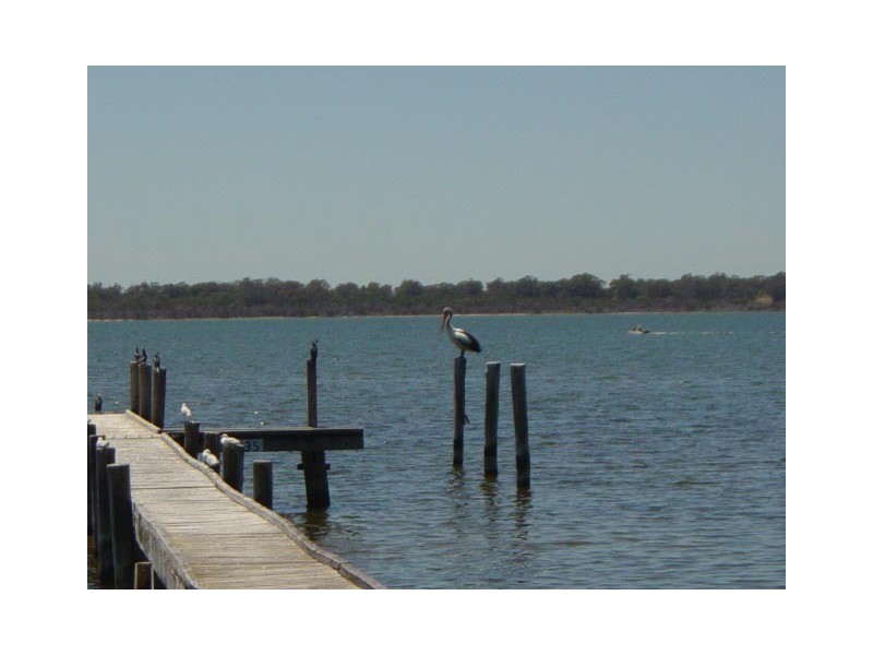 Lot 604 (579) Estuary Road, Dawesville WA 6211