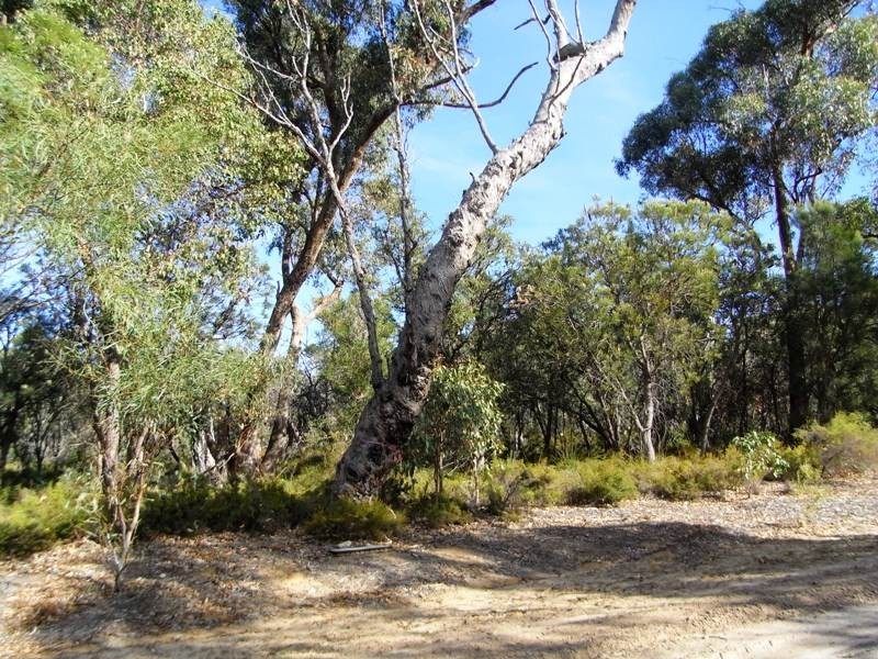 11 Fenton Place, Bouvard WA 6211