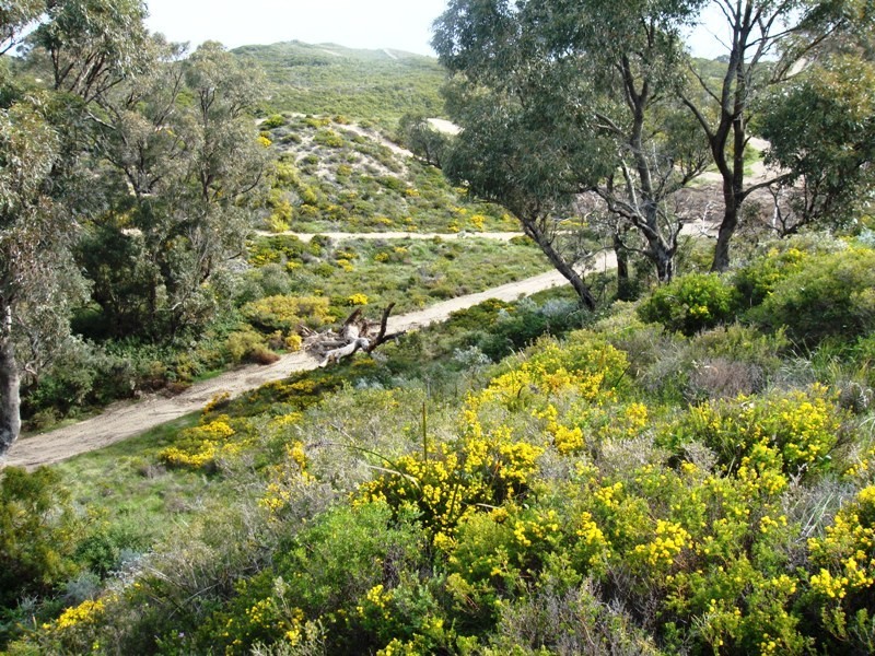 16 Figtree Lane, Golden Bay WA 6174