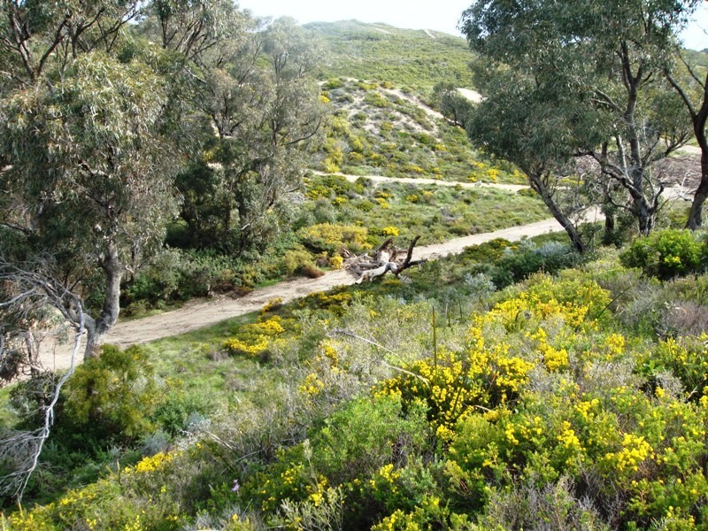 16 Figtree Lane, Golden Bay WA 6174