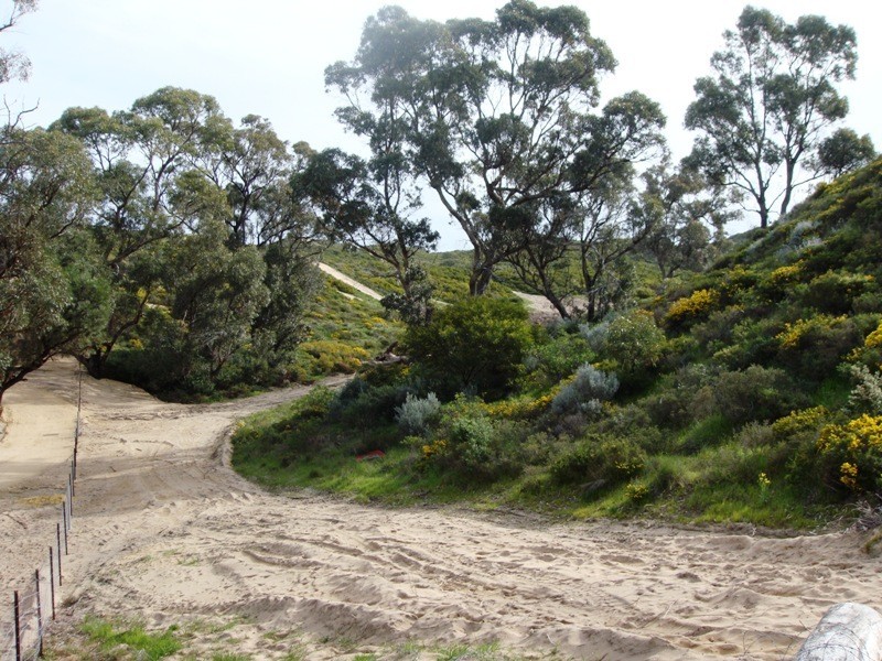 16 Figtree Lane, Golden Bay WA 6174