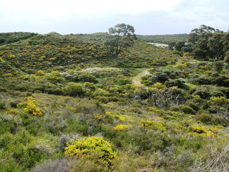 14 Figtree Ln, Golden Bay WA 6174