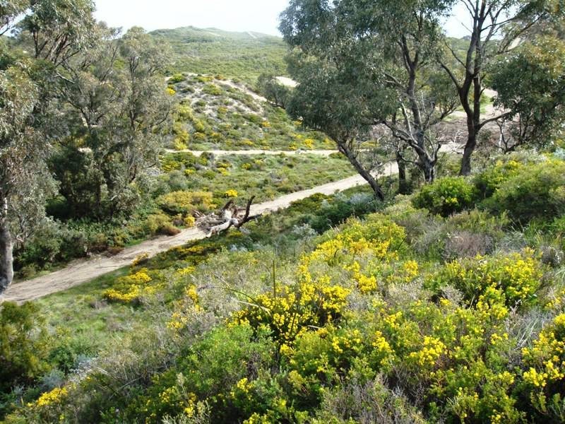 16 Fig Tree Lane, Golden Bay WA 6174