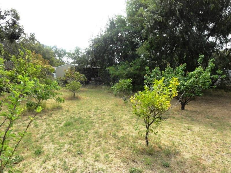 20 Nutbush Ave, Falcon WA 6210