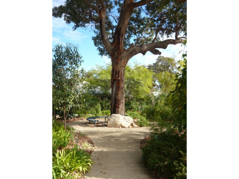 64 Winter View, Dawesville WA 6211