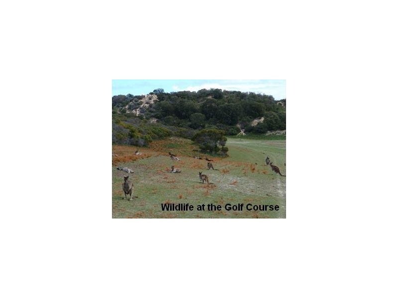 20 Stables Road, Preston Beach WA 6215