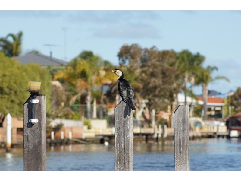 100 Moyup Way, South Yunderup WA 6208