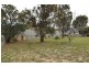 31 Galatea Rd, Falcon WA 6210