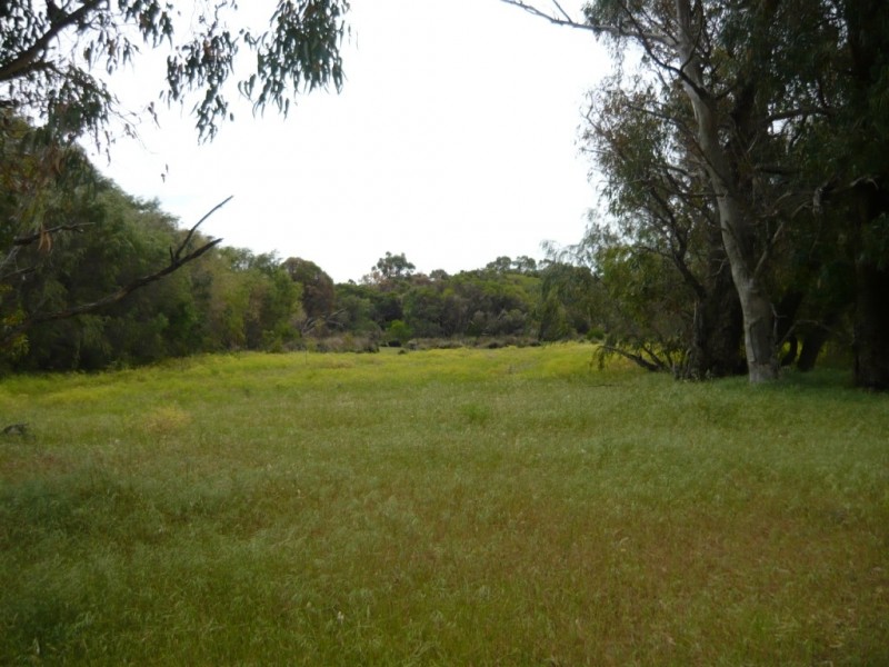 19 Newnham Road, Lake Clifton WA 6215