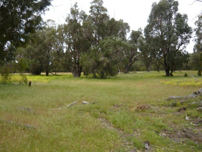 19 Newnham Road, Lake Clifton WA 6215