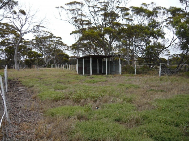 248 HOUNSHAM WAY, Ongerup WA 6336