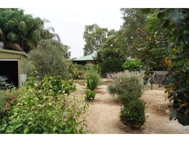 4 Racecourse Rd, Pinjarra WA 6208