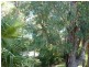 15 MARIGOLD LANE, Falcon WA 6210
