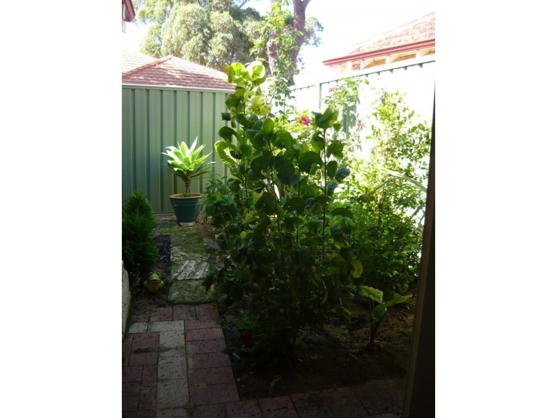 15 MARIGOLD LANE, Falcon WA 6210
