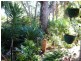 15 MARIGOLD LANE, Falcon WA 6210