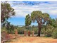 1 Dawesville Road, Dawesville WA 6211