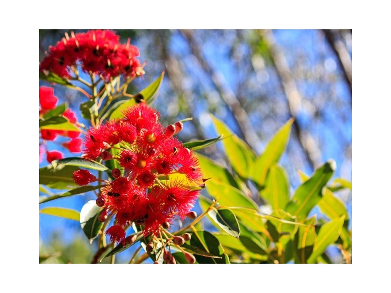 2 (Lot 1677) Sall Pass, Pinjarra WA 6208