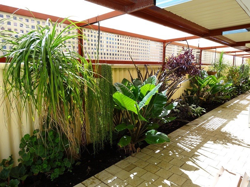 5 Comet Street, Dudley Park WA 6210