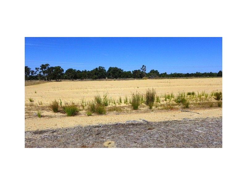 37 (Lot 241) Munday Avenue, Pinjarra WA 6208