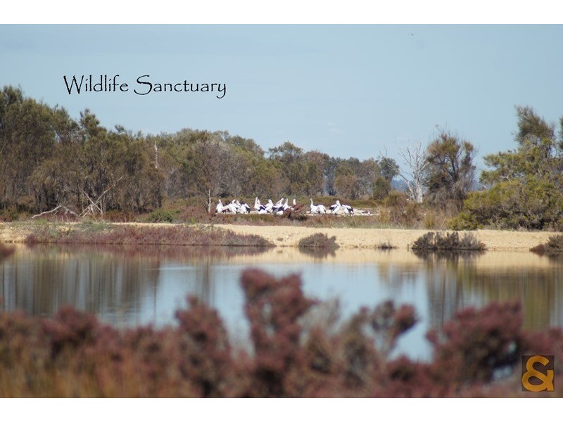 23A Nairn Rd, Coodanup WA 6210