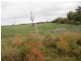 Lot 304 Scott Road, Nambeelup WA 6207
