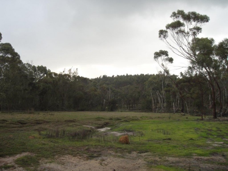 Lot 11250 Westbourne Road, Bridgetown WA 6255
