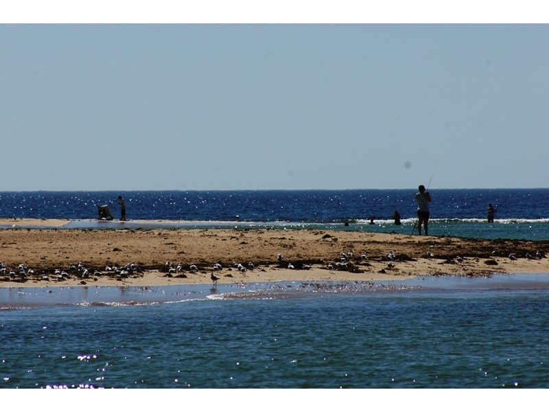 11/11 Halls Head Parade, Halls Head WA 6210