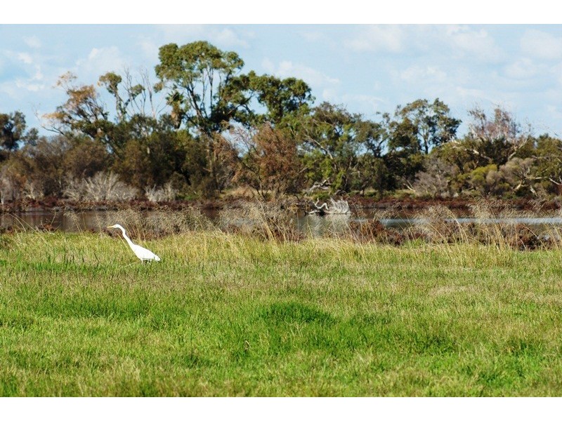 23A Nairn Rd, Coodanup WA 6210